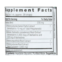 Load image into Gallery viewer, Nature's Answer - Echinacea-goldenseal - Alcohol Free - 1 Oz