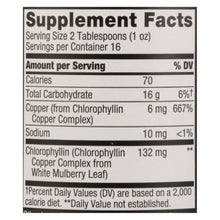 Load image into Gallery viewer, Nature's Way - Chlorofresh Liquid Chlorophyll Natural Mint - 16 Fl Oz