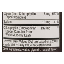 Load image into Gallery viewer, Nature's Way - Chlorofresh Liquid Chlorophyll Natural Mint - 16 Fl Oz