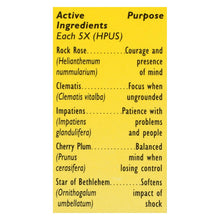 Load image into Gallery viewer, Bach Flower Remedies Rescue Remedy Natural Stress Relief - 0.7 Fl Oz