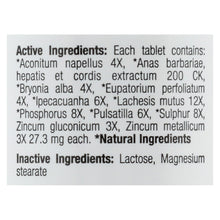 Load image into Gallery viewer, Bhi - Bhi Flu+ - 100 Tablets