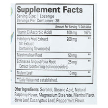 Load image into Gallery viewer, Quantum Elderberry Lozenges Raspberry - 36 Lozenges