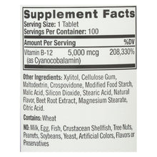 Load image into Gallery viewer, Natrol Fast Dissolving Vitamin B12 - 5000 Mcg - 100 Tabs
