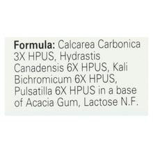 Load image into Gallery viewer, Hylands Homepathic Sinus Relief - 100 Tablets