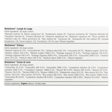 Load image into Gallery viewer, Bodyanew - Cleanse - Multipack Oral Drops - 50 Ml - 3 Count