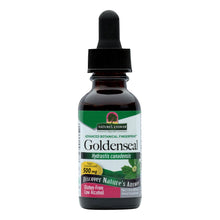 Load image into Gallery viewer, Nature's Answer - Goldenseal Root - 1 Fl Oz
