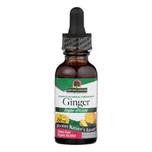 Load image into Gallery viewer, Nature's Answer - Ginger Root Extract - 1 Fl Oz
