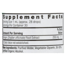 Load image into Gallery viewer, Nature's Answer - Ginger Root Extract - 1 Fl Oz
