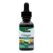Load image into Gallery viewer, Nature's Answer - Ginger Root Alcohol Free - 1 Fl Oz
