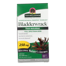 Load image into Gallery viewer, Nature's Answer - Bladderwrack Thallus - 90 Vegetarian Capsules
