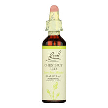 Load image into Gallery viewer, Bach Flower Remedies Essences Chestnut Bud - 0.7 Fl Oz
