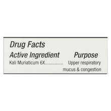 Load image into Gallery viewer, Himalayan Institute Neti Mist Sinus Spray - 1 Fl Oz
