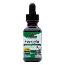 Load image into Gallery viewer, Nature's Answer - Astragalus Root Alcohol Free - 1 Fl Oz
