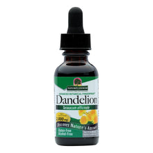 Load image into Gallery viewer, Nature's Answer - Af Dandelion Root - 1 Fl Oz
