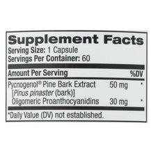 Load image into Gallery viewer, Natrol Pycnogenol - 50 Mg - 60 Capsules
