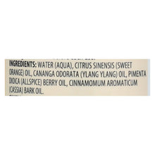Load image into Gallery viewer, Aura Cacia - Aromatherapy Mist Cinnamon Ylang Ylang - 4 Fl Oz
