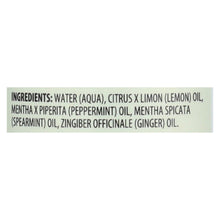 Load image into Gallery viewer, Aura Cacia - Aromatherapy Mist Ginger Mint - 4 Fl Oz
