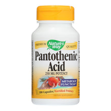 Load image into Gallery viewer, Nature's Way - Pantothenic Acid - 250 Mg - 100 Capsules
