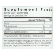 Load image into Gallery viewer, Rainbow Light Berry-d-licious Vitamin D3 Ripe Raspberry - 2500 Iu - 50 Gummies
