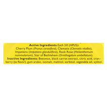 Load image into Gallery viewer, Bach Rescue Remedy Pastilles - Cranberry - 50 Grm - Case Of 12
