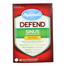 Load image into Gallery viewer, Hylands Homeopathic Sinus - Defend - 40 Tablets
