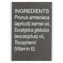 Load image into Gallery viewer, Aura Cacia - Roll On Essential Oil - Eucalyptus - Case Of 4 - .31 Oz
